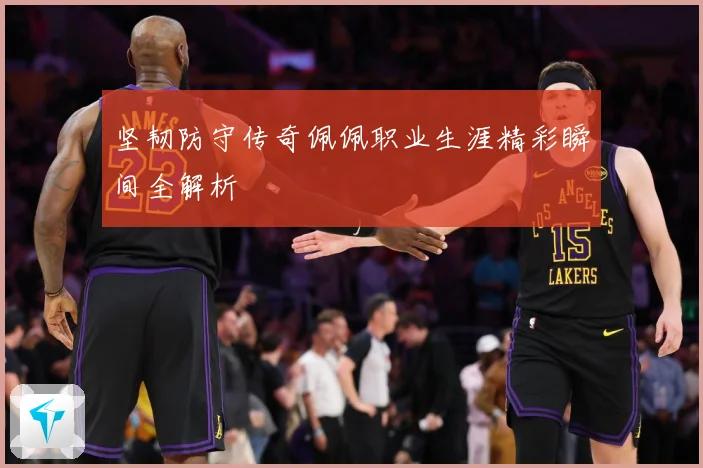 坚韧防守传奇佩佩职业生涯精彩瞬间全解析