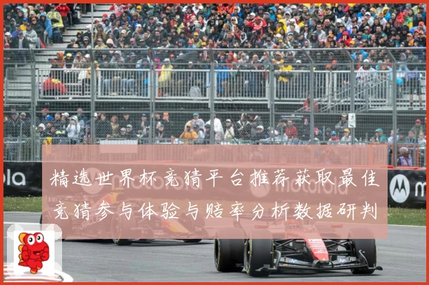 精选世界杯竞猜平台推荐获取最佳竞猜参与体验与赔率分析数据研判