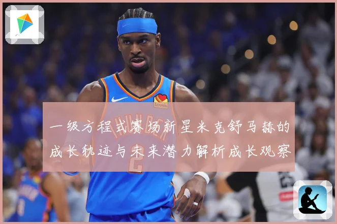 一级方程式赛场新星米克舒马赫的成长轨迹与未来潜力解析成长观察
