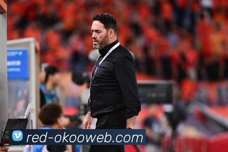 格斗传奇尼克迪亚兹生涯回顾与技术风格全面解析